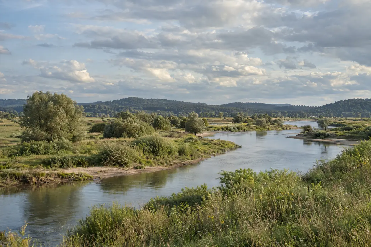 Rivieruiterwaard met wilgen en bosrijke heuvels