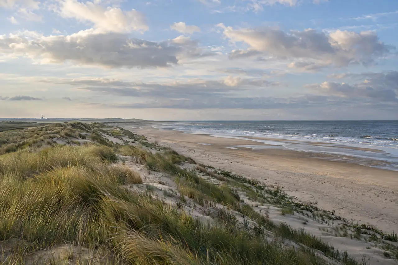 Duinen met helmgras aan een breed strand