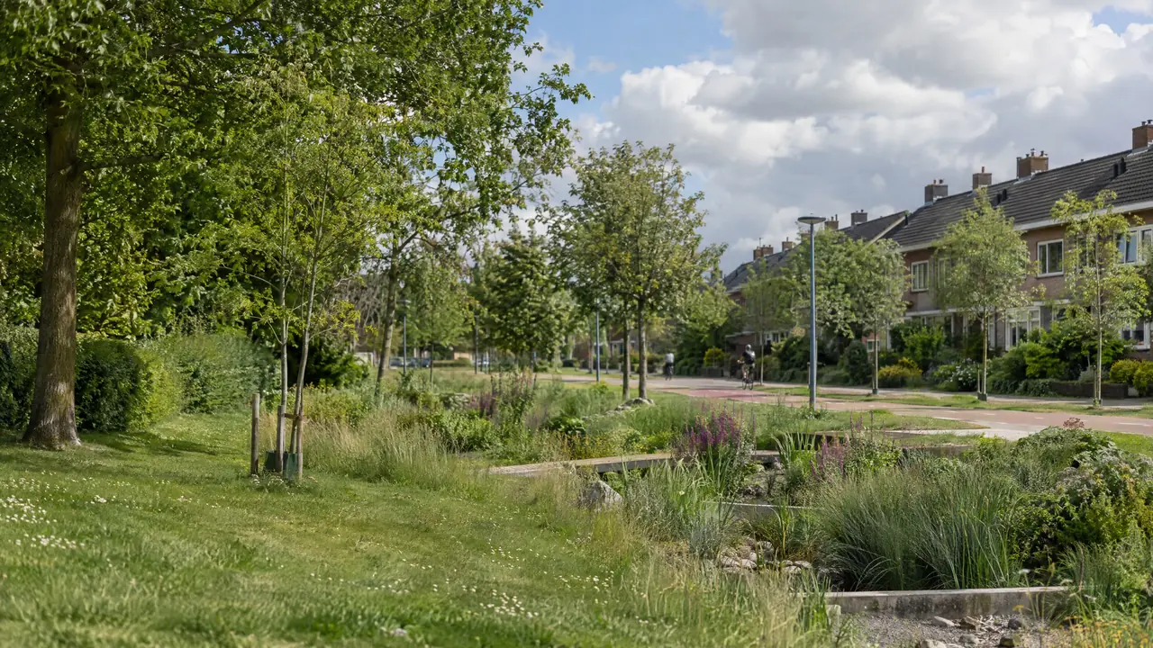 Groene woonwijk met een wadi, bomen en een fietspad
