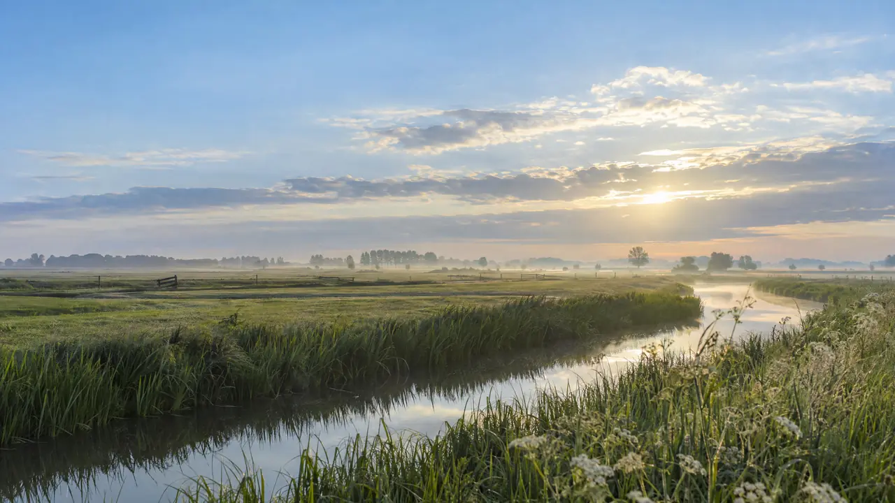 Ochtendnevel boven open landbouwlandschap