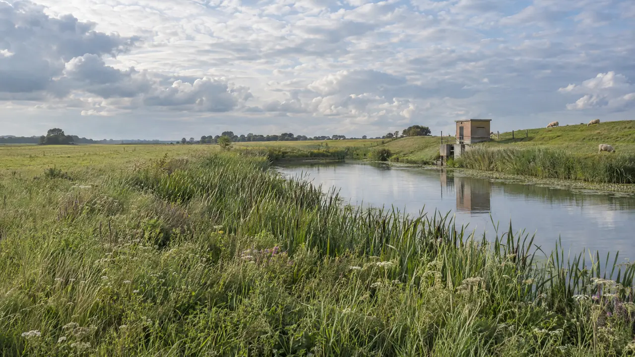 Wetering met een natuurvriendelijke oever, een gemaal en een dijk